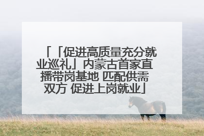 「促进高质量充分就业巡礼」内蒙古首家直播带岗基地 匹配供需双方 促进上岗就业