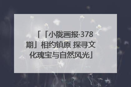 「小陇画报·378期」相约镇原 探寻文化瑰宝与自然风光