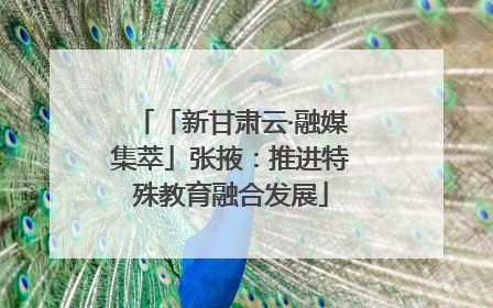 「新甘肃云·融媒集萃」张掖：推进特殊教育融合发展