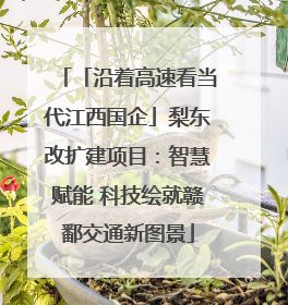 「沿着高速看当代江西国企」梨东改扩建项目：智慧赋能 科技绘就赣鄱交通新图景