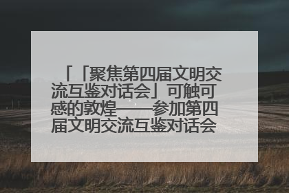 「聚焦第四届文明交流互鉴对话会」可触可感的敦煌——参加第四届文明交流互鉴对话会的外宾参观上元市集
