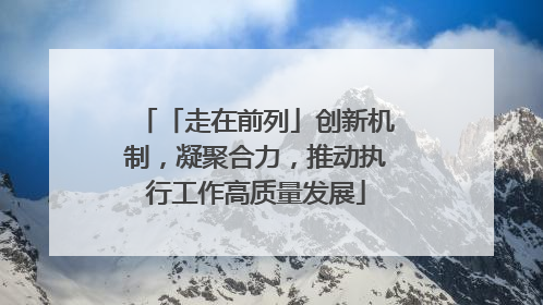 「走在前列」创新机制，凝聚合力，推动执行工作高质量发展
