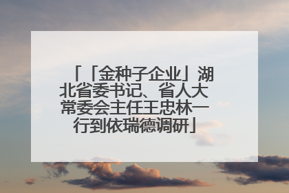 「金种子企业」湖北省委书记、省人大常委会主任王忠林一行到依瑞德调研