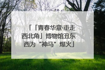 「青春华章·重走西北角」博物馆丑东西为“神马”爆火