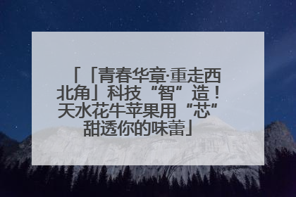 「青春华章·重走西北角」科技“智”造！天水花牛苹果用“芯”甜透你的味蕾