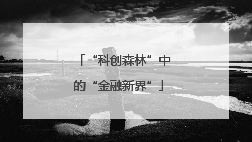 “科创森林”中的“金融新界”