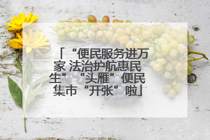“便民服务进万家 法治护航惠民生”“头雁”便民集市“开张”啦