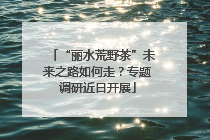 “丽水荒野茶”未来之路如何走？专题调研近日开展