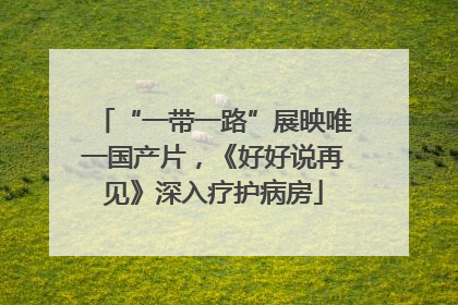 “一带一路”展映唯一国产片，《好好说再见》深入疗护病房