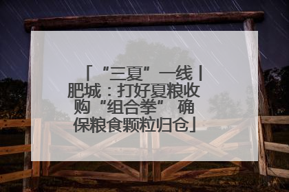 “三夏”一线丨肥城：打好夏粮收购“组合拳” 确保粮食颗粒归仓