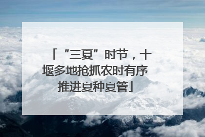 “三夏”时节，十堰多地抢抓农时有序推进夏种夏管