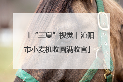 “三夏”视觉｜沁阳市小麦机收圆满收官