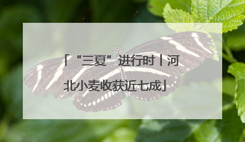“三夏”进行时丨河北小麦收获近七成