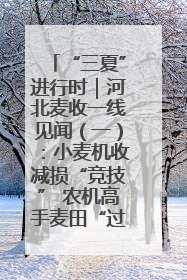 “三夏”进行时｜河北麦收一线见闻（一）：小麦机收减损“竞技” 农机高手麦田“过招”