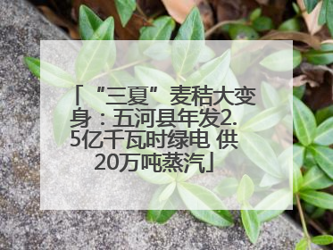 “三夏”麦秸大变身：五河县年发2.5亿千瓦时绿电 供20万吨蒸汽