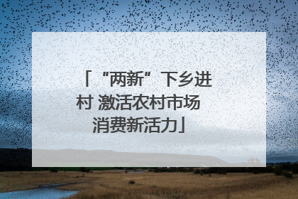 “两新”下乡进村 激活农村市场消费新活力