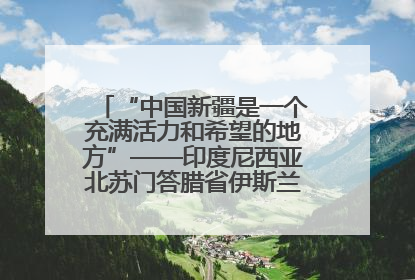 “中国新疆是一个充满活力和希望的地方”——印度尼西亚北苏门答腊省伊斯兰教代表团参访新疆