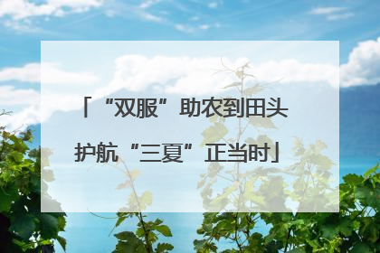 “双服”助农到田头 护航“三夏”正当时