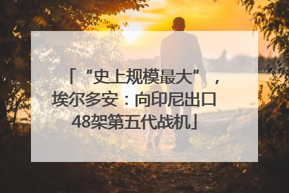 “史上规模最大”，埃尔多安：向印尼出口48架第五代战机