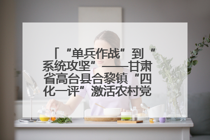 “单兵作战”到“系统攻坚”——甘肃省高台县合黎镇“四化一评”激活农村党员管理新引擎