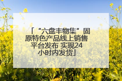 “六盘丰物集”固原特色产品线上销售平台发布 实现24小时内发货