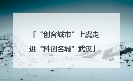 “创客城市”上虞走进“科创名城”武汉