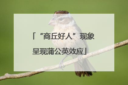 “商丘好人”现象呈现蒲公英效应