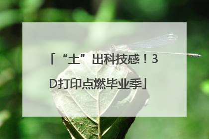 “土”出科技感！3D打印点燃毕业季