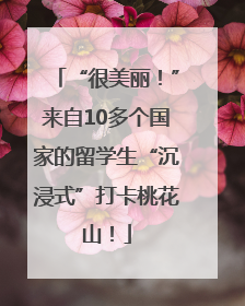 “很美丽！”来自10多个国家的留学生“沉浸式”打卡桃花山！