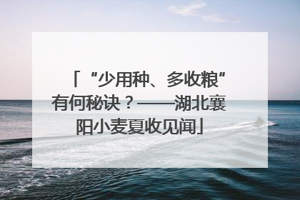 “少用种、多收粮”有何秘诀？——湖北襄阳小麦夏收见闻