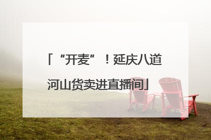 “开麦”！延庆八道河山货卖进直播间