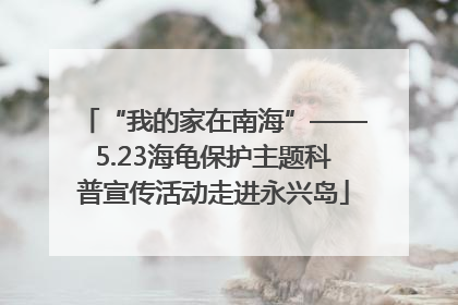 “我的家在南海”——5.23海龟保护主题科普宣传活动走进永兴岛