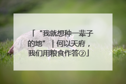 “我就想种一辈子的地”｜何以天府，我们用粮食作答②