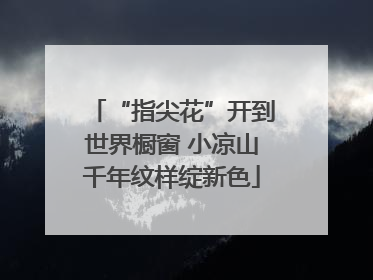 “指尖花”开到世界橱窗 小凉山千年纹样绽新色