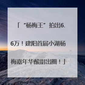 “杨梅王”拍出6.6万！建阳首届小湖杨梅嘉年华酸甜出圈！