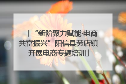 “新阶聚力赋能·电商共富振兴”阳信县劳店镇开展电商专题培训