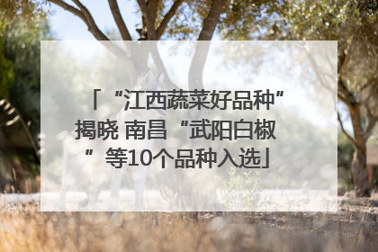 “江西蔬菜好品种”揭晓 南昌“武阳白椒”等10个品种入选