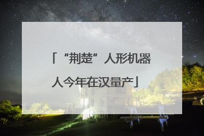 “荆楚”人形机器人今年在汉量产