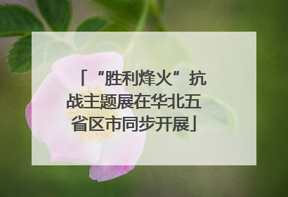 “胜利烽火”抗战主题展在华北五省区市同步开展
