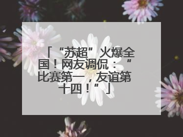 “苏超”火爆全国！网友调侃：“比赛第一，友谊第十四！”