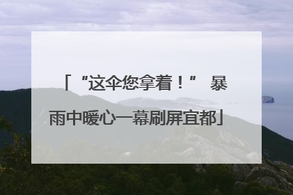 “这伞您拿着！” 暴雨中暖心一幕刷屏宜都