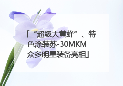 “超级大黄蜂”、特色涂装苏-30MKM 众多明星装备亮相
