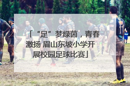 “足”梦绿茵，青春激扬 眉山东坡小学开展校园足球比赛