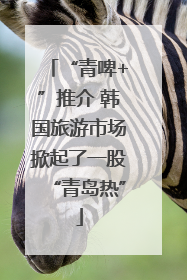 “青啤+”推介 韩国旅游市场掀起了一股“青岛热”