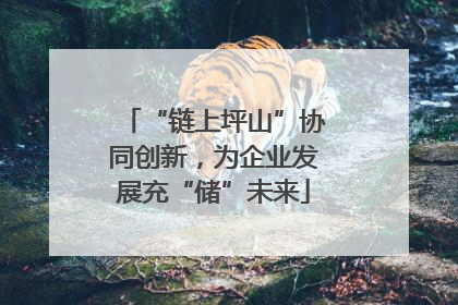 “链上坪山”协同创新，为企业发展充“储”未来