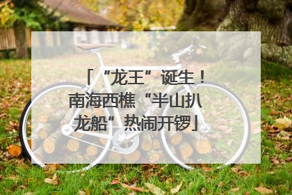“龙王”诞生！南海西樵“半山扒龙船”热闹开锣
