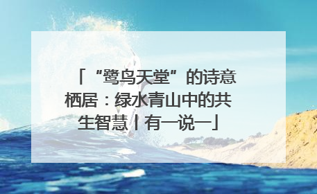 “鹭鸟天堂”的诗意栖居：绿水青山中的共生智慧丨有一说一