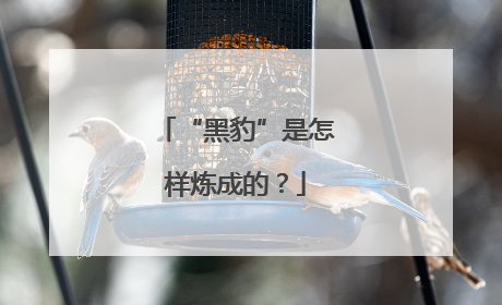 “黑豹”是怎样炼成的？
