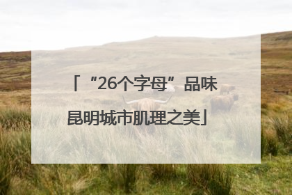 “26个字母”品味昆明城市肌理之美