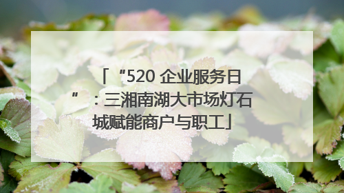 “520 企业服务日”：三湘南湖大市场灯石城赋能商户与职工